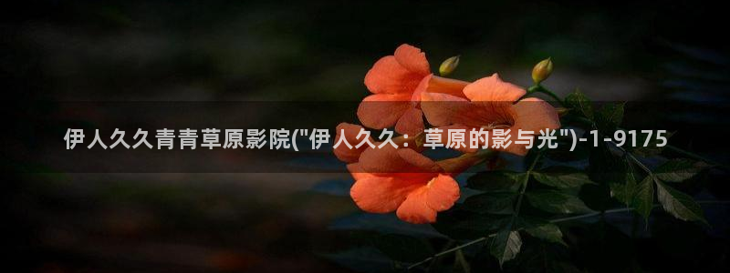 五月伊人久久网视频欧美：伊人久久青青草原影院(\