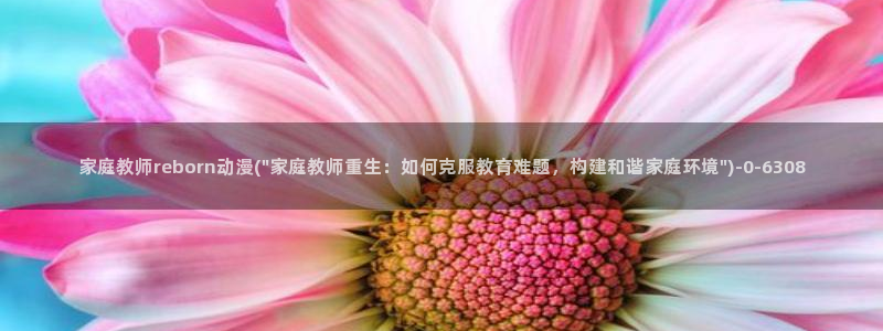 58动漫网站