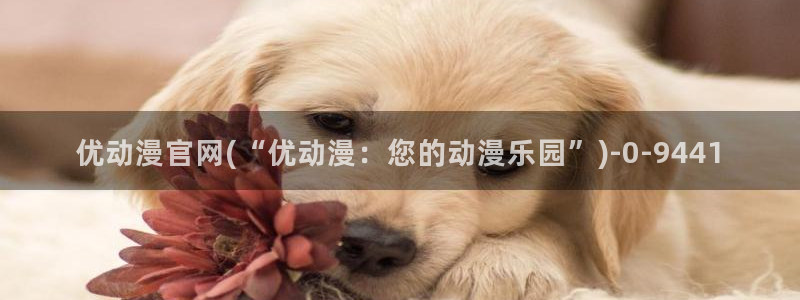 看动漫的网站