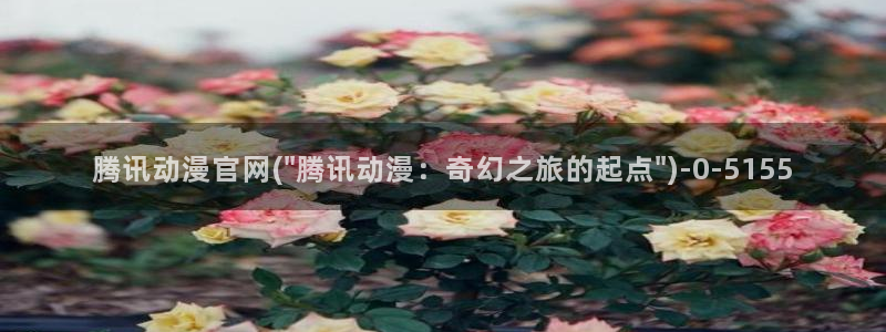 动漫a片