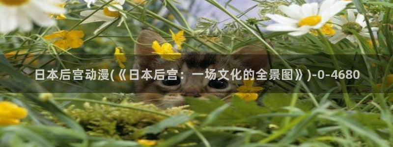 免费动漫网