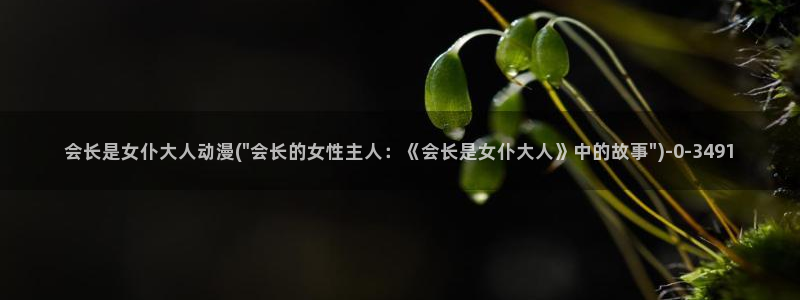 2k动漫